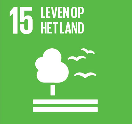 SDG-icon-NL-RGB-15